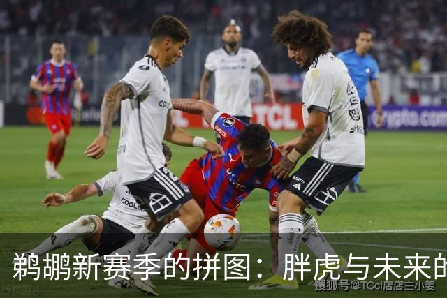 鹈鹕新赛季的拼图：胖虎与未来的疑问